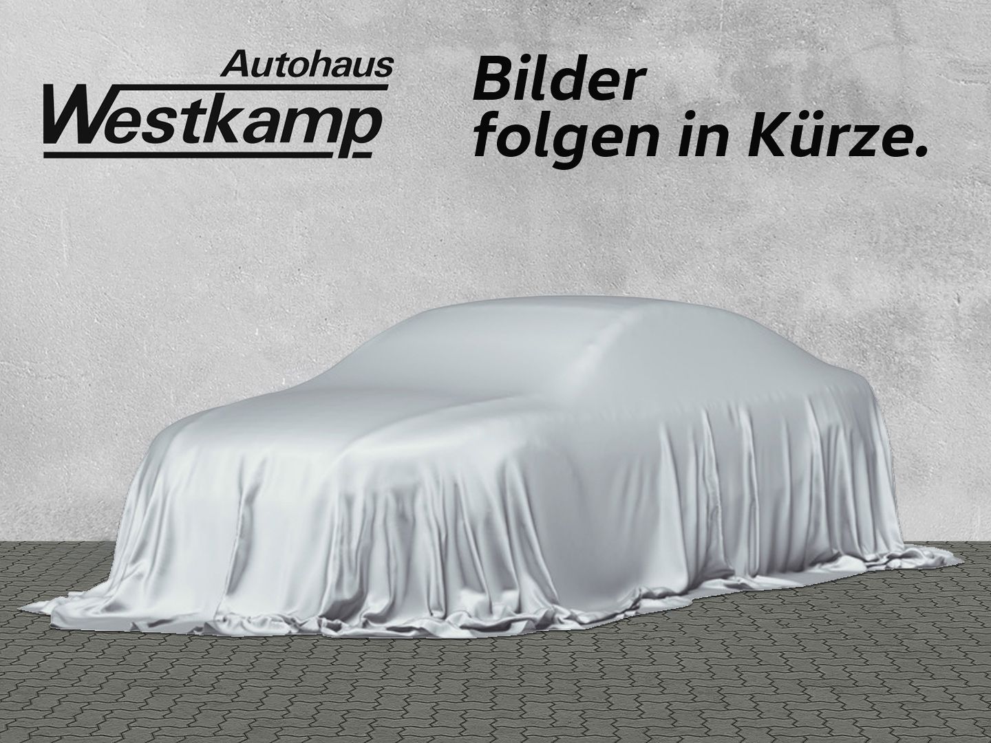 Volkswagen Tiguan R-Line Black-Style 2,0 TSI 4MOTION DSG AH