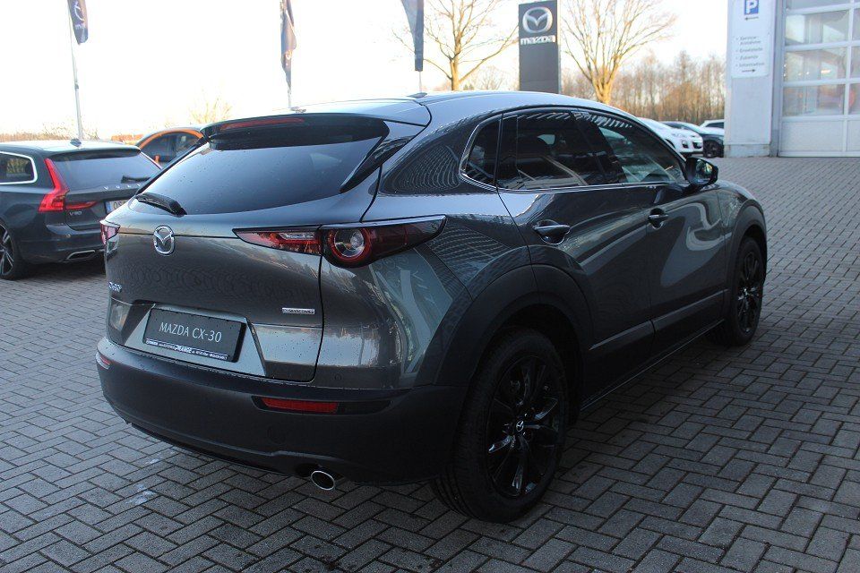 Mazda CX-30 M-Hybrid Homura X-186 AT Allwetter NAVI AC