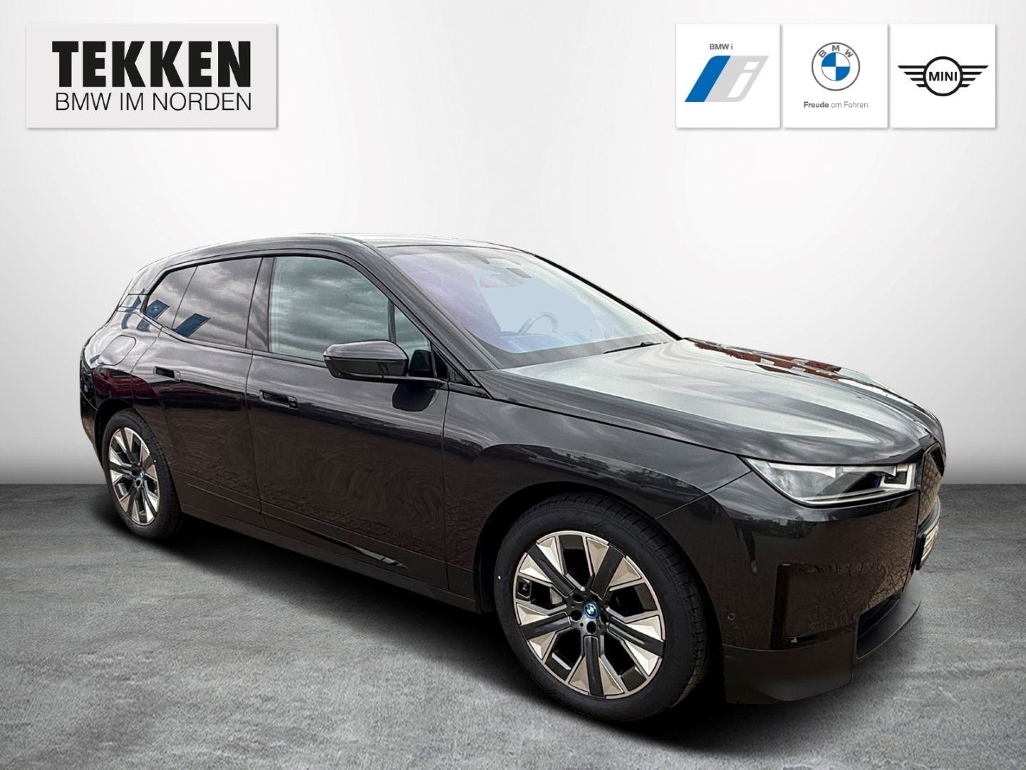 BMW iX xDrive40 AHK H/K Komfortz. Driv. Ass. Prof.