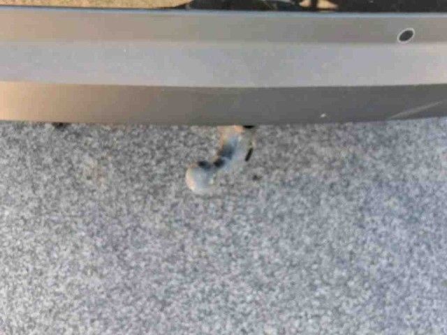 Skoda Kodiaq Clever 2.0 TDI DSG 4x4 DCC+ACC+CANTON+AHK