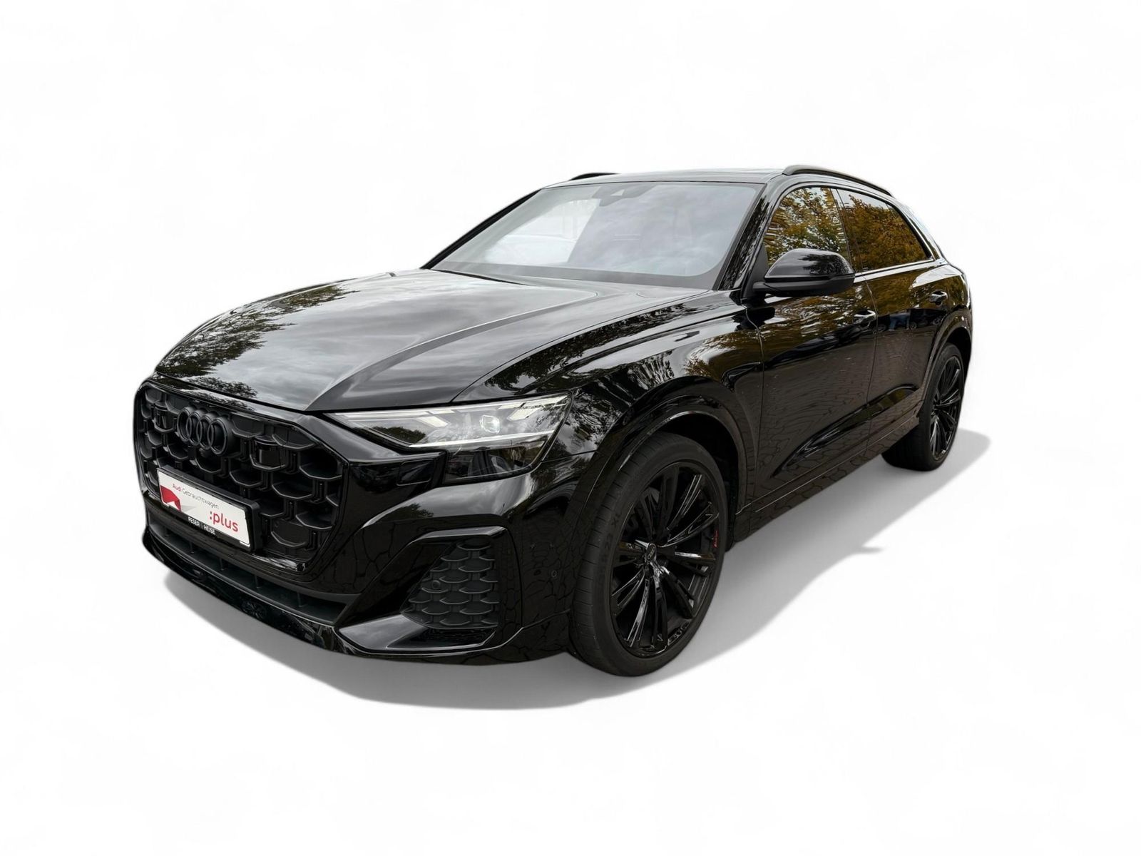 Audi Q8 50 TDI S Line quattro Matrix-LED/4xSHZ/B&O/Pa