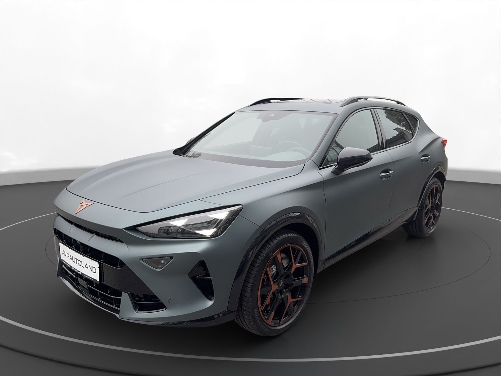 Cupra Formentor 2.0 TSI 4Drive DSG VZ Extreme | AHK |