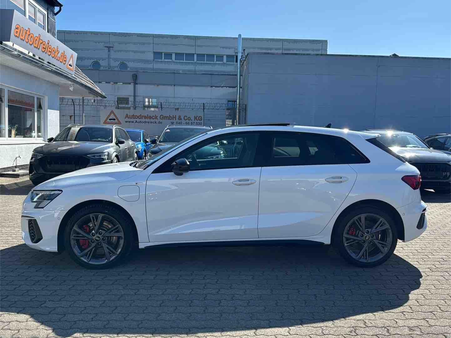 Audi A3 45 TFSIe 2x S line ACC BLACK HuD PANO RAUTE
