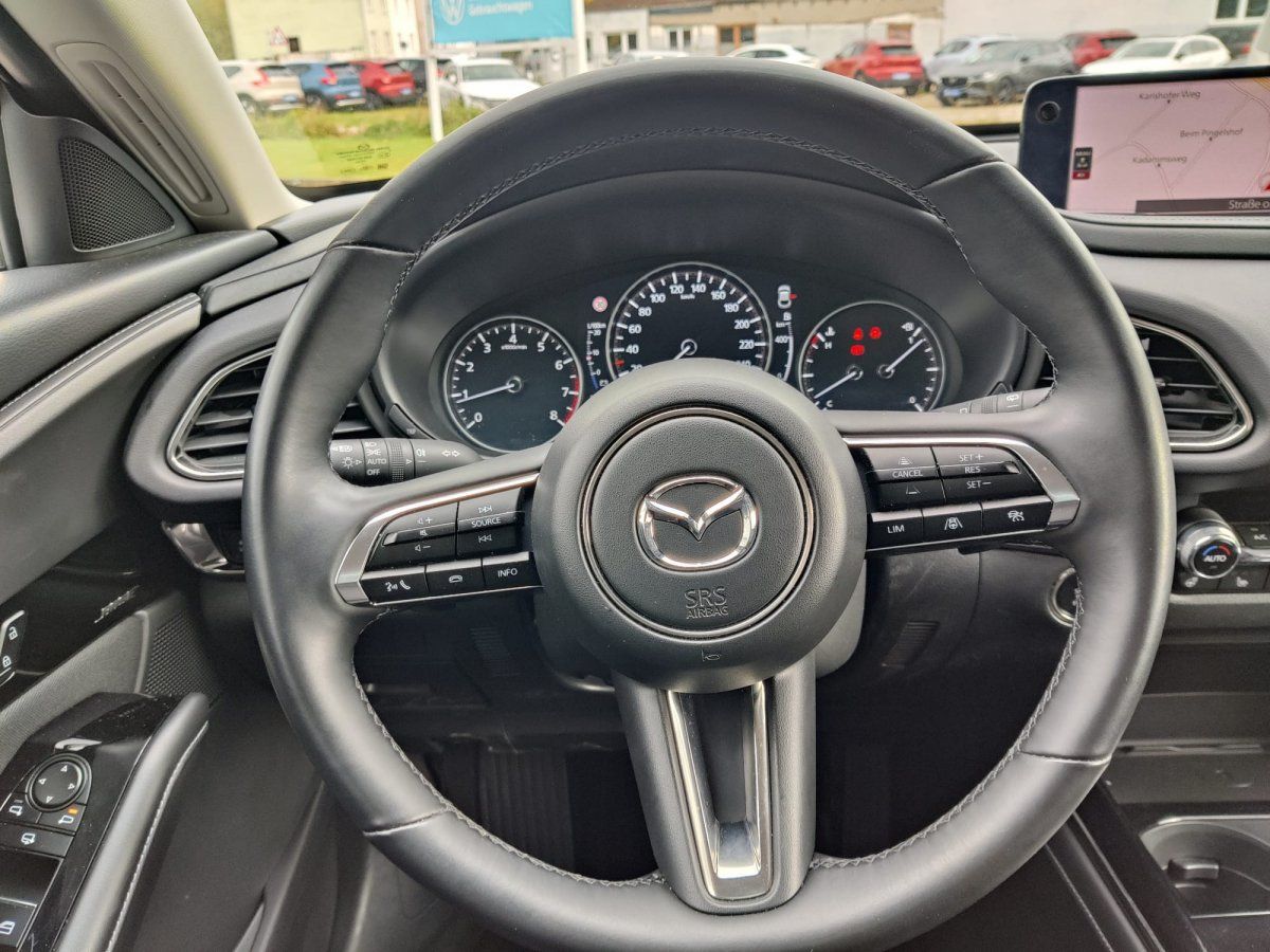 Mazda CX-30 Exclusive-line, Bose-Sound, 360°, Matrix-L