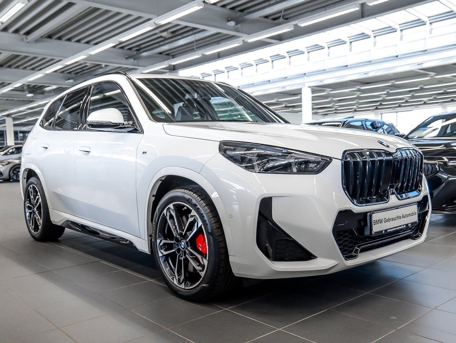 BMW X1 xDrive20d M Sport HUD ACC AHK RFK NAVI LED