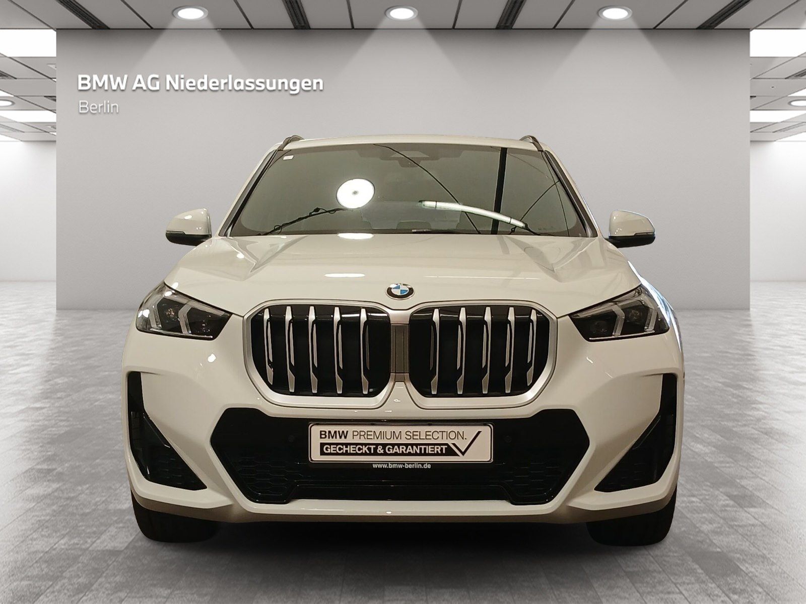 BMW X1 xDrive20d M Sport Navi Driv.Assist+ Pano AHK