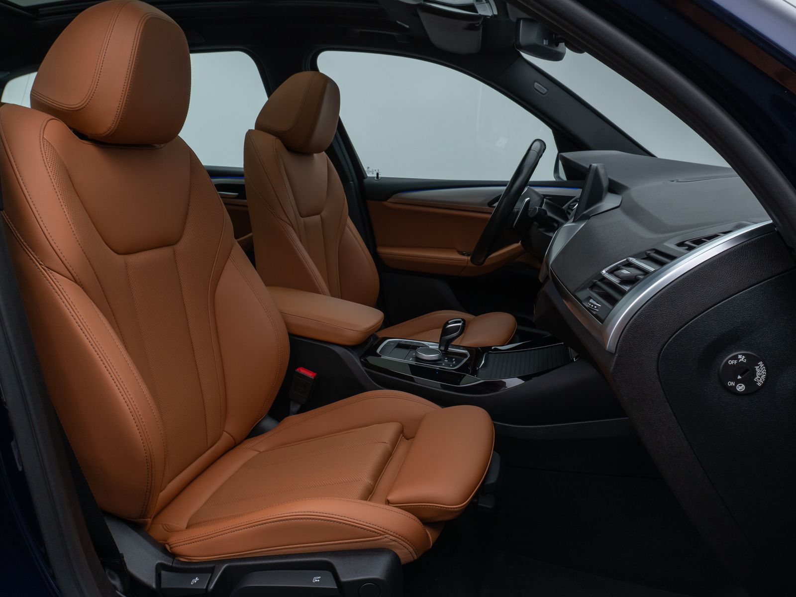 BMW X3 xD30d M Sport Panoram Kamera DAB HiFi AHK 21"