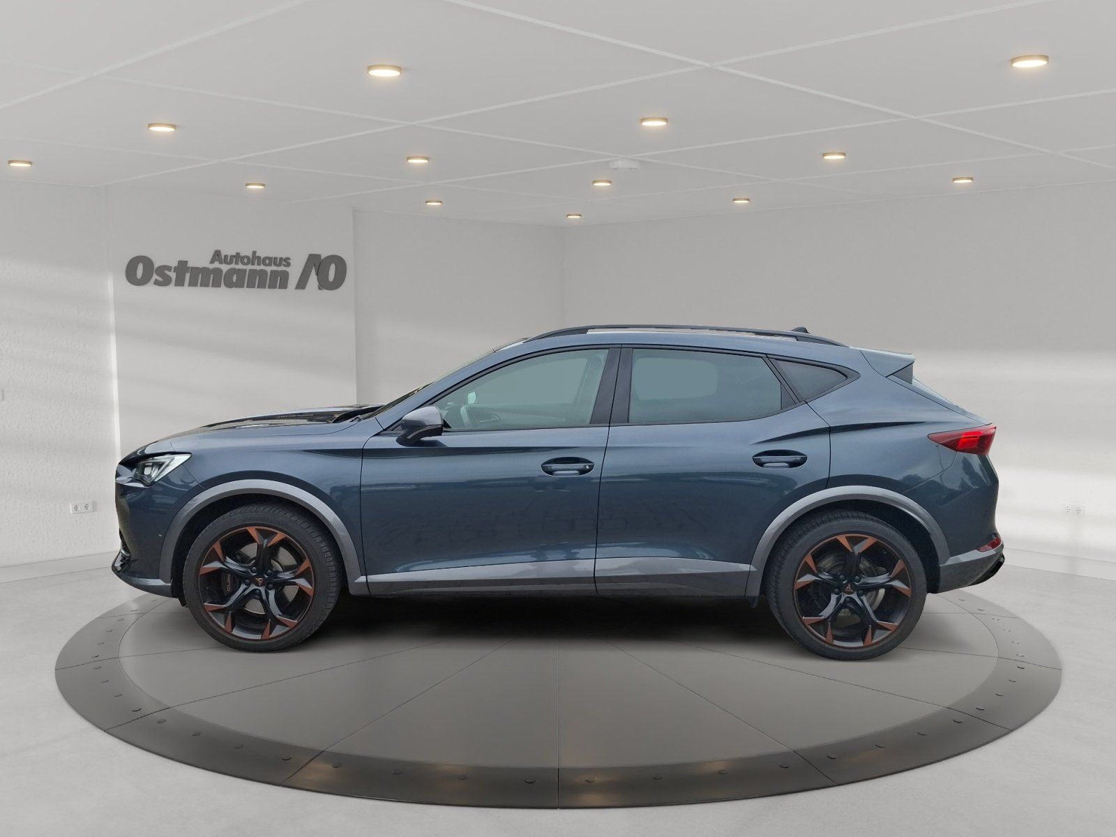 Cupra Formentor 2.0 TSI 4Drive VZ AHK Pano 19'' el.Hec