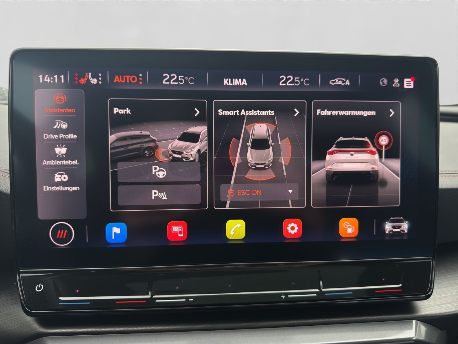 Cupra Formentor 2.0 TSI DSG VZ LEDER BREMBO PANO AHK