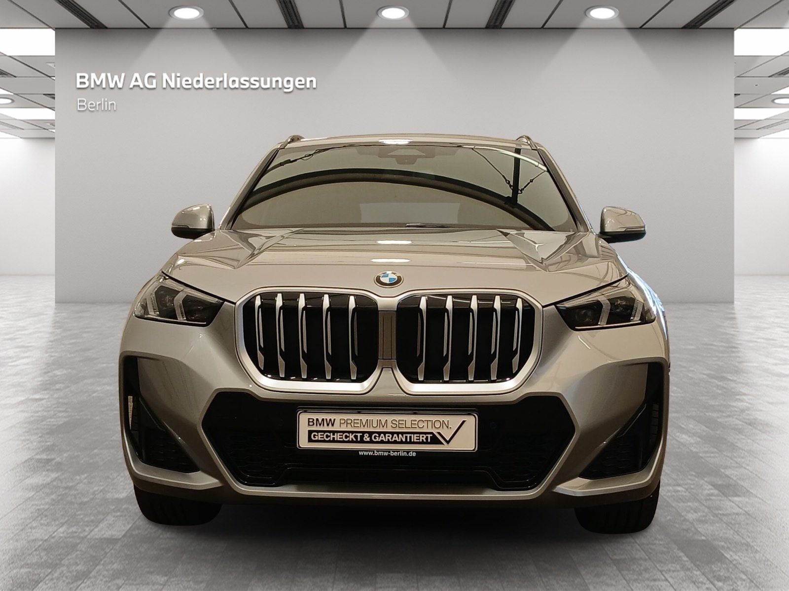 BMW X1 xDrive20d M Sport Navi Pano AHK Driv.Assist+