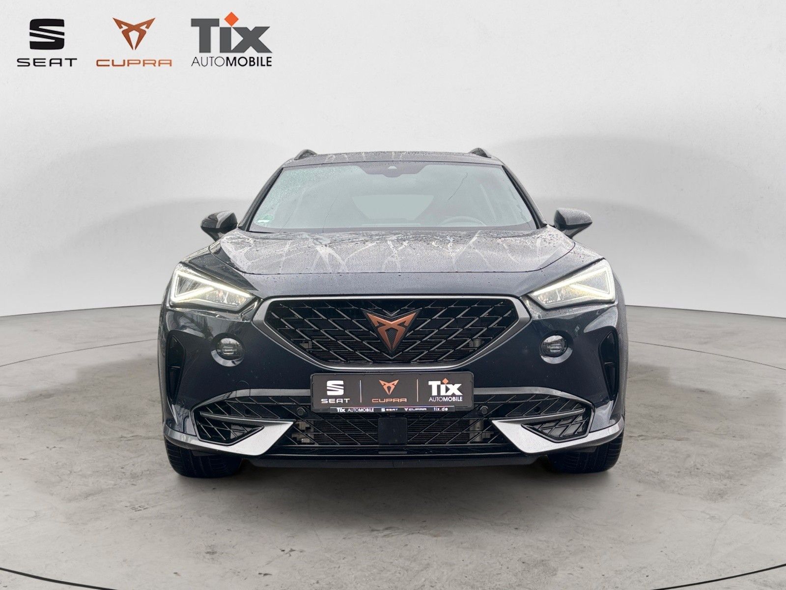 Cupra Formentor VZ 2.0 TSI DSG,Pano,Beats,AHK