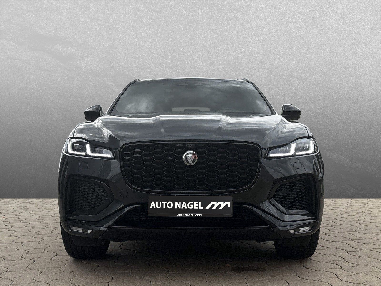 Jaguar F-Pace D300 R-Dyn. SE AHK HUD Dachrel. Winter-P.