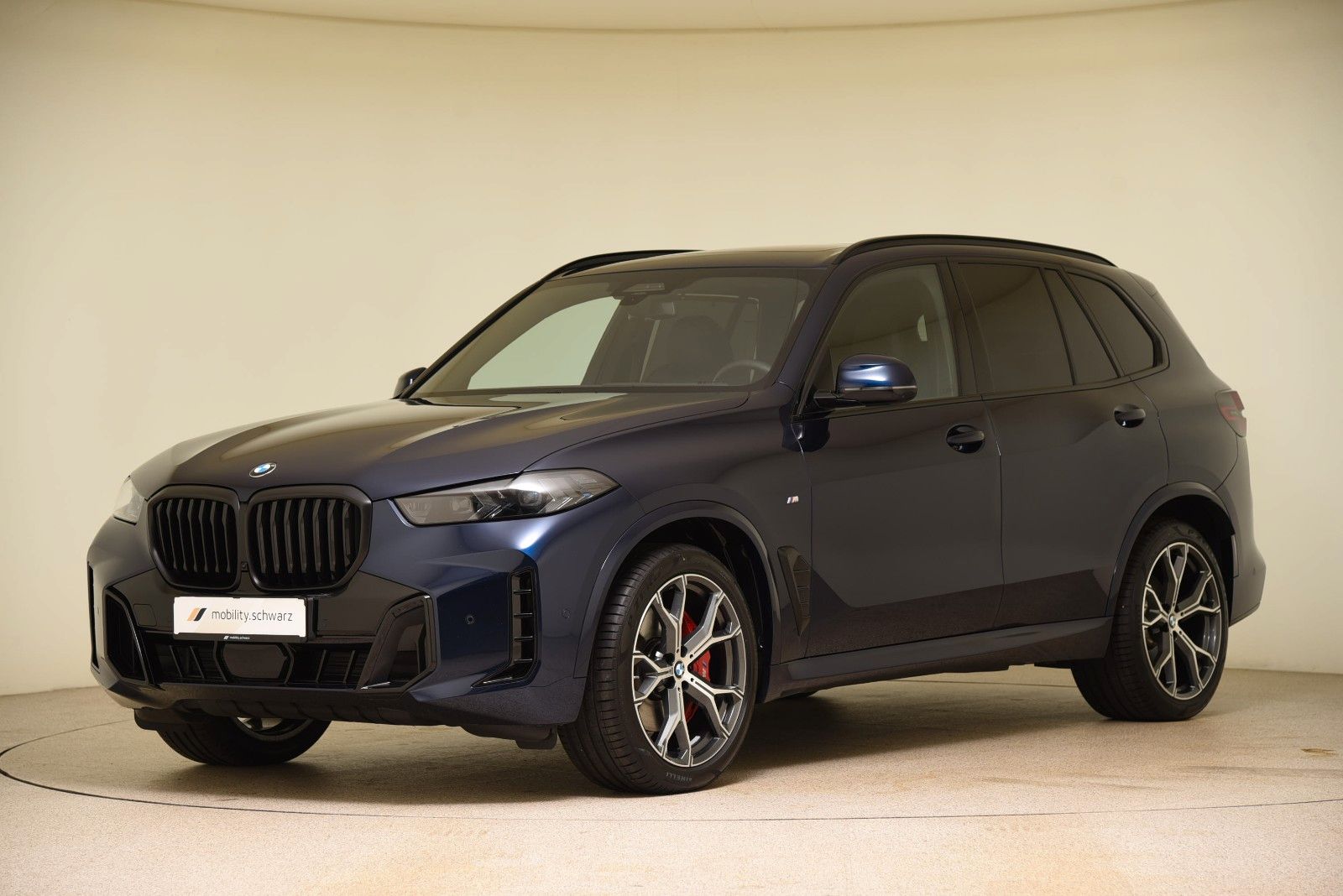 BMW X5 xDrive30d M Sport Pro ACC Pano 360° H&K AHK