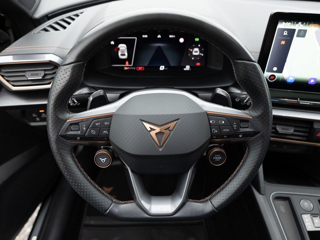 Cupra Formentor 2.0 TSI VZ Tribe Edition PANO AHK 360°