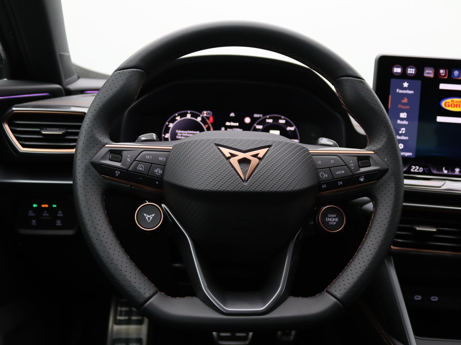 Cupra Formentor VZ 2.0 TSI DSG/Matrix, AHK, 360°Kamera