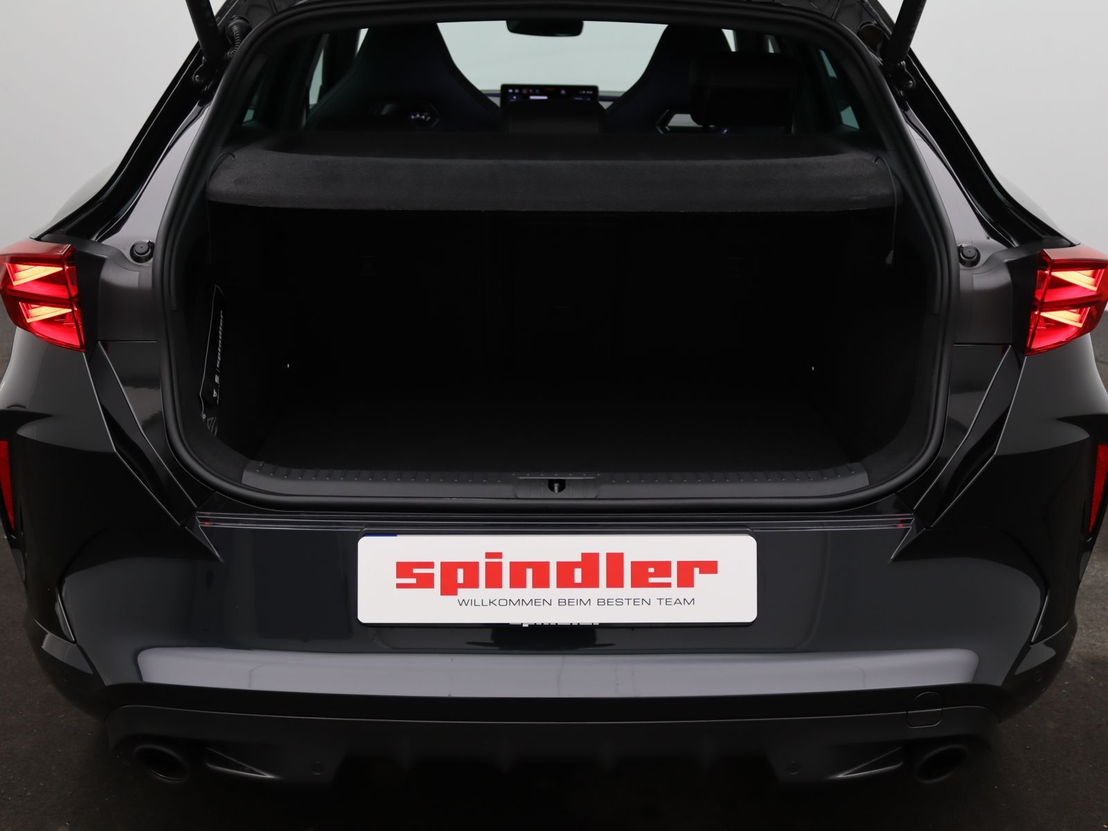 Cupra Formentor VZ 2.0 TSI DSG/Matrix, AHK, 360°Kamera