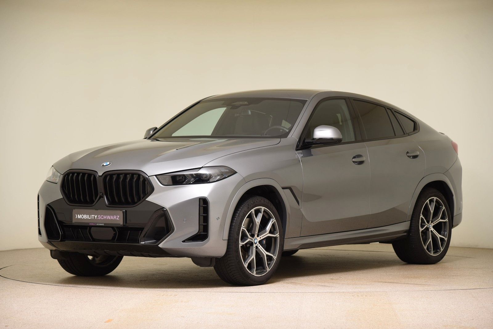 BMW X6 xDrive30d M Sport Pro HUD AHK LED Pano H&K