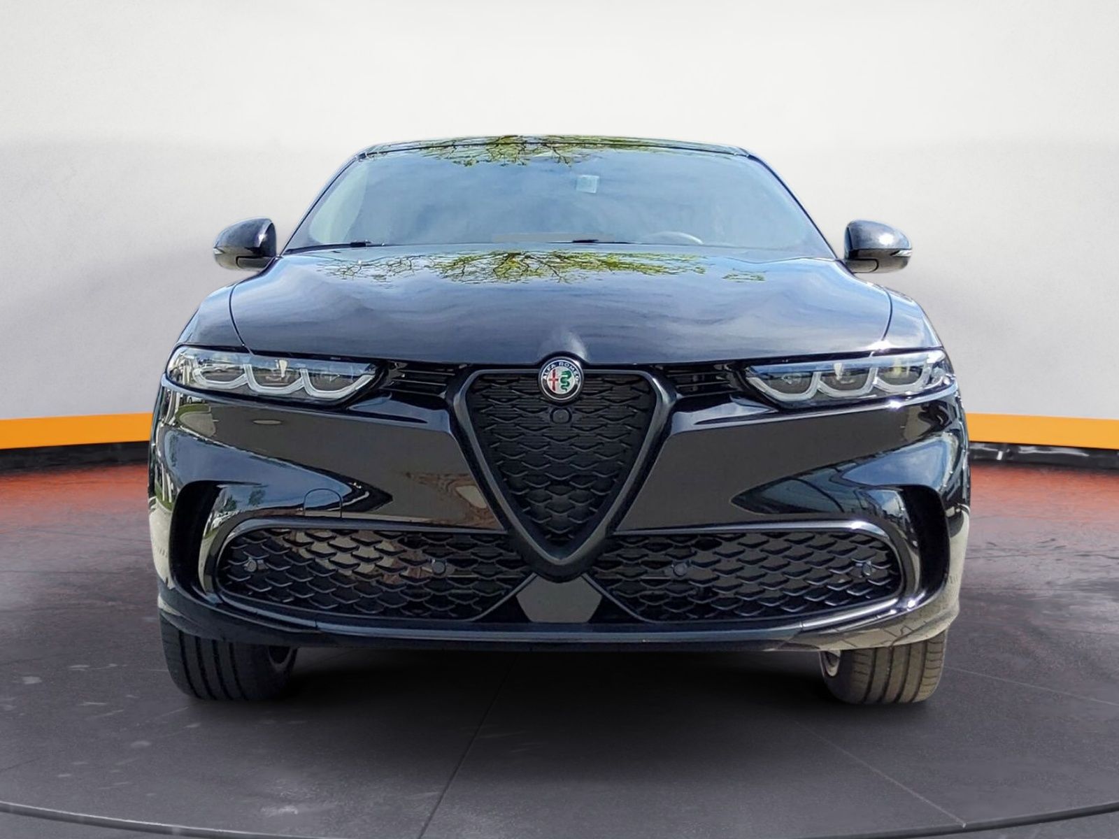 Alfa Romeo Tonale Intensa Sondermodell Navi, LHZ, 360°, 1,9