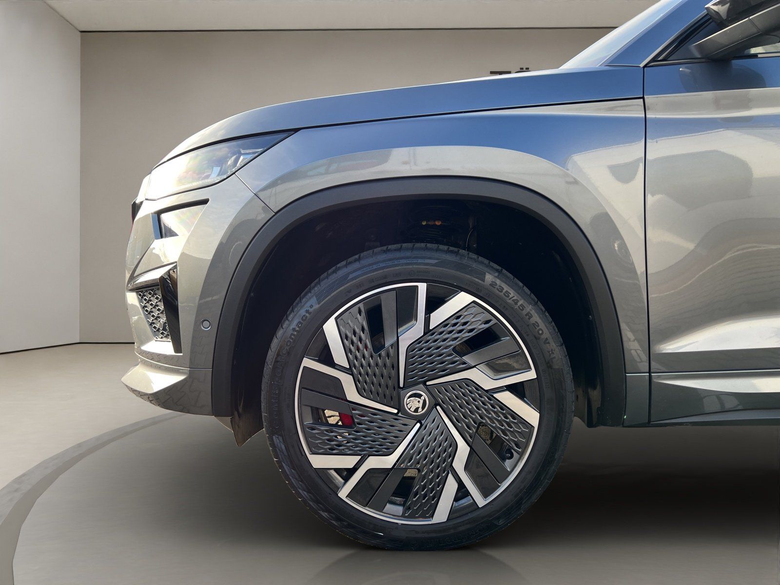 Skoda Kodiaq RS 2.0 TSI DSG 4x4 DCC AHK 360 ACC eHeck