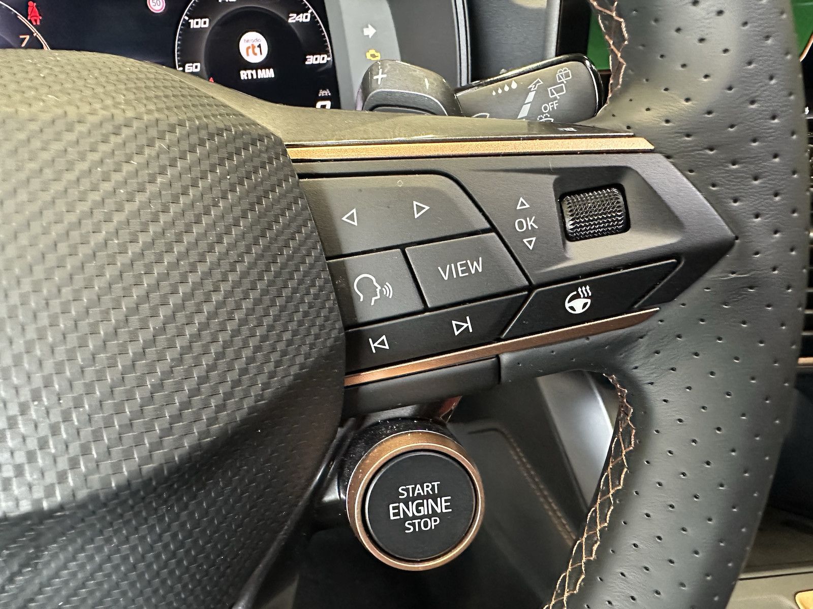 Cupra Formentor VZ 4Drive Leder Sennheiser AHK Skyline