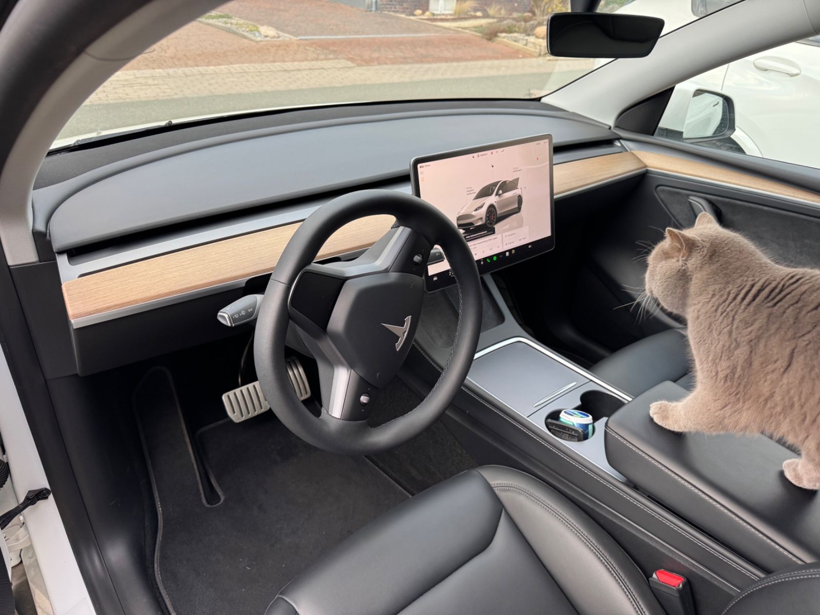 Tesla Model Y Performance Dual AWD Autopilot MwSt. 21"