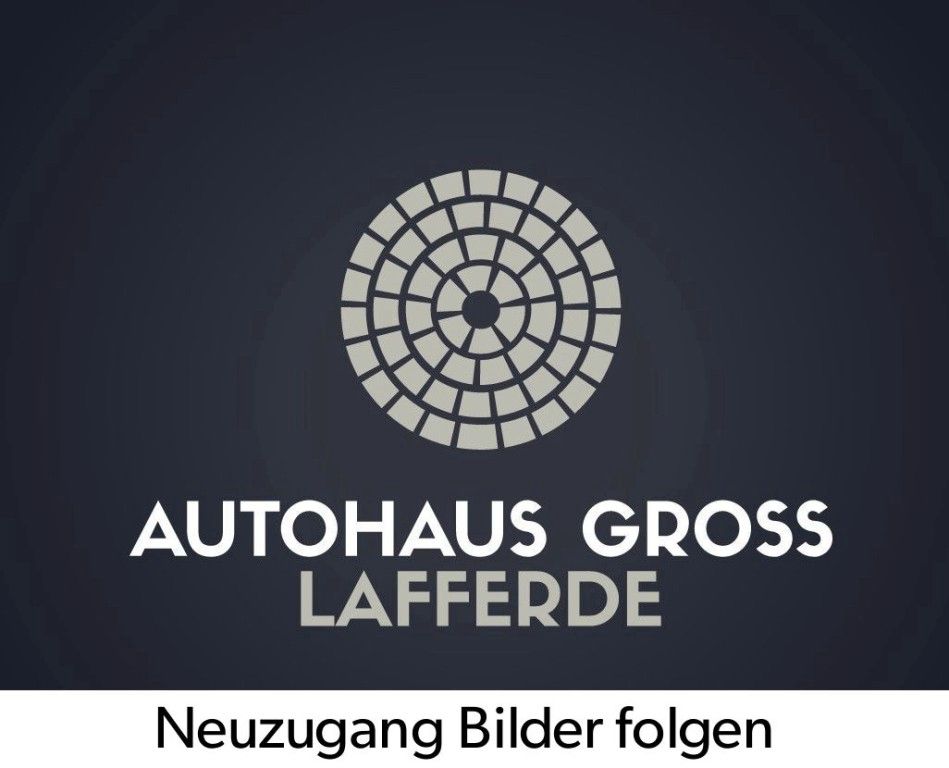 Audi Q4 e-tron 45 e-tron 2 x S line quattro AHK Pano