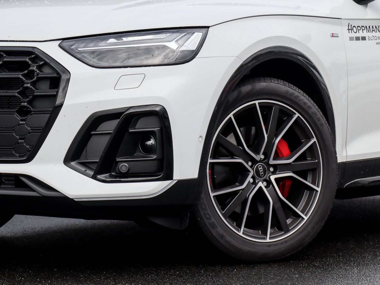Audi Q5 50 TFSI e S-Line Luft AHK Matrix