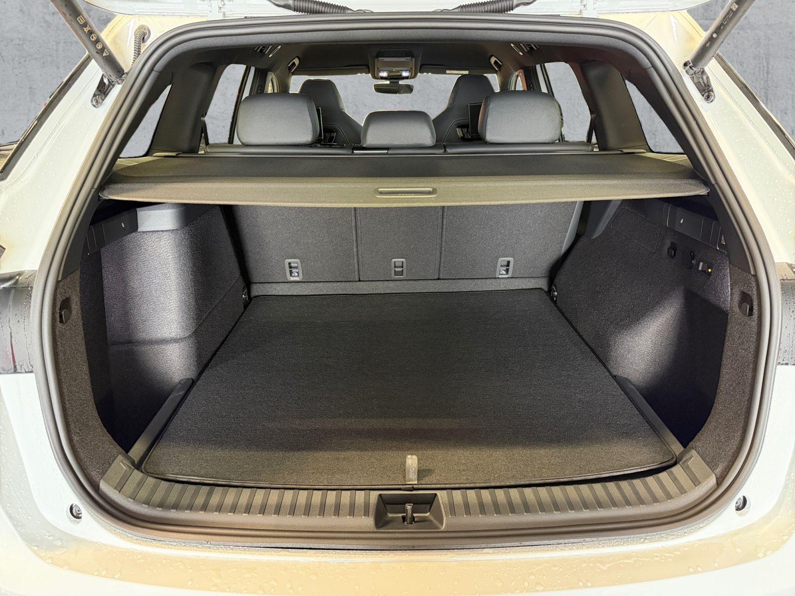 Skoda Kodiaq 1,5 TSI iV SportLine 360° AHK DCC PDC RFK