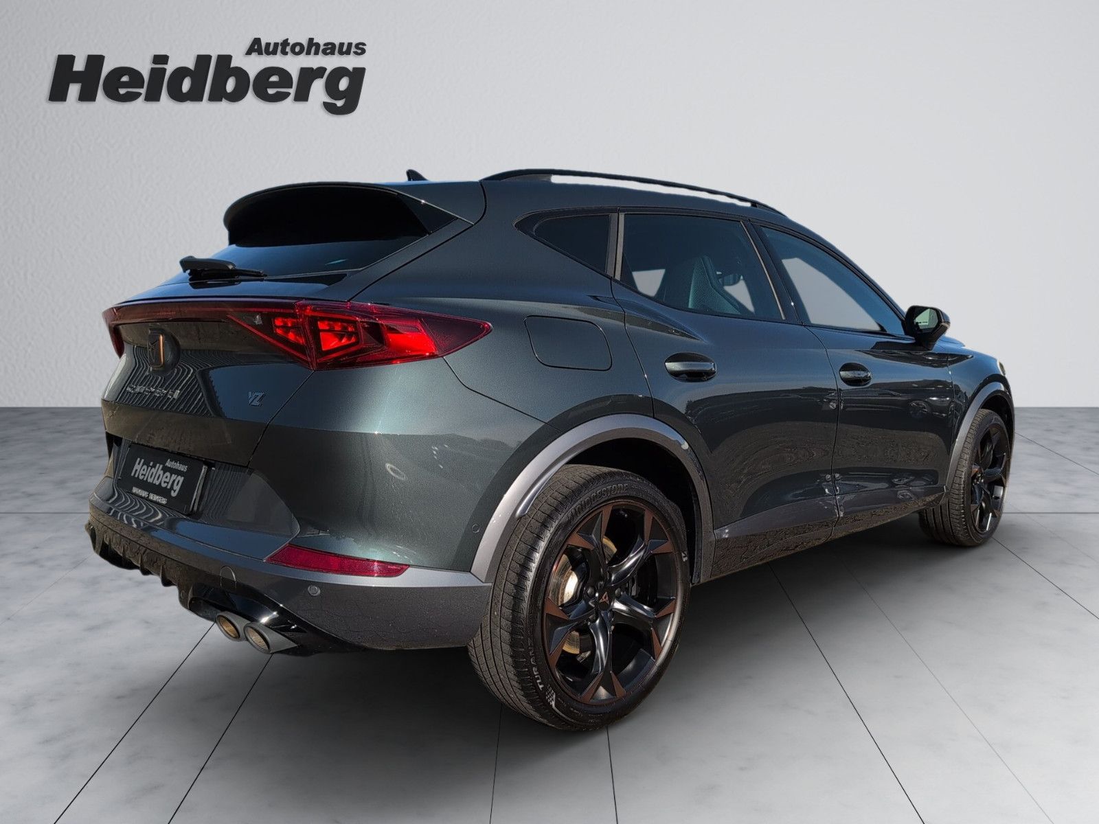 Cupra Formentor 2.0 TSI VZ AHK PANO LEDER CUP COPPER