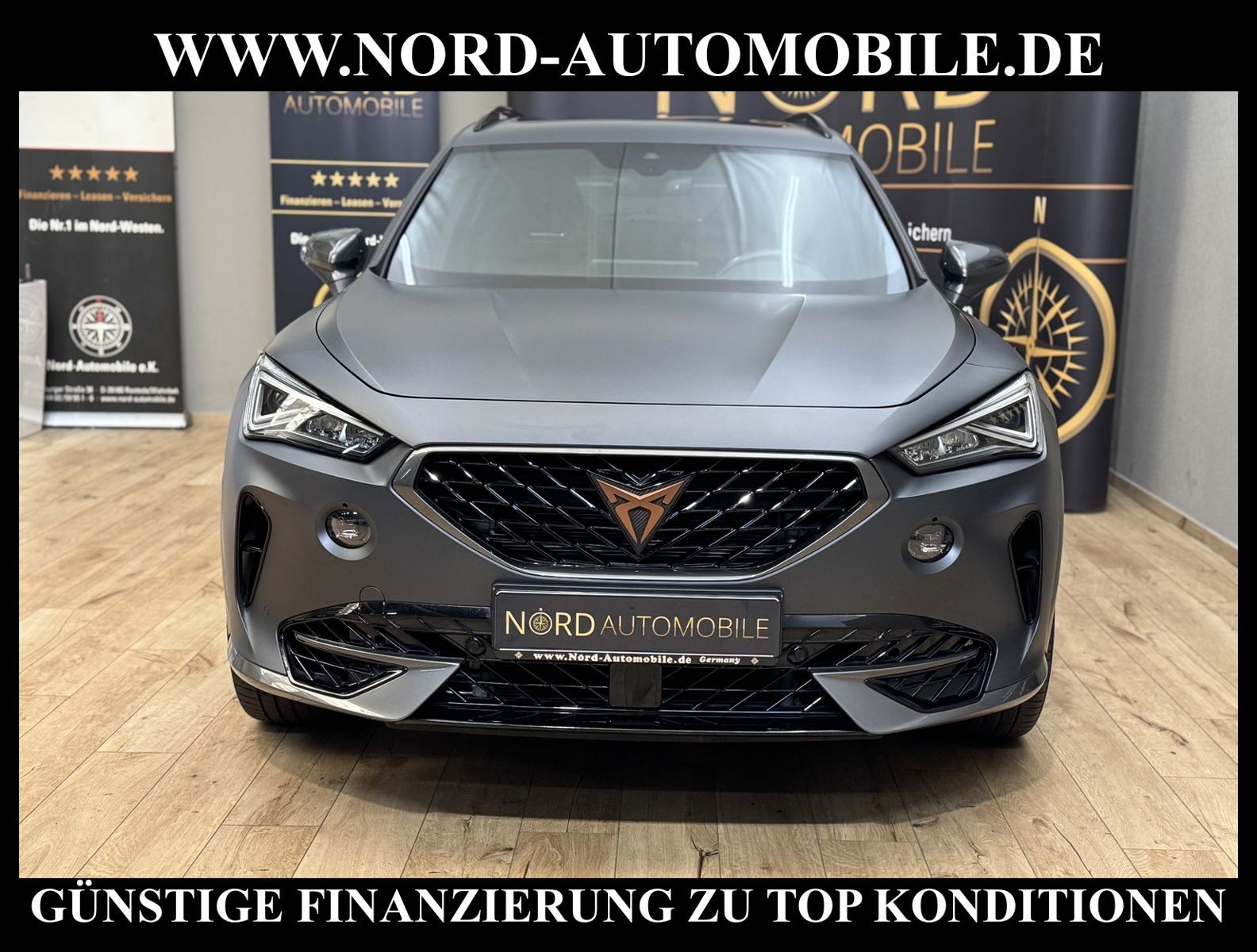 Cupra Formentor 2.0 TSI VZ AHK/Pano/Leder/Mattlack/