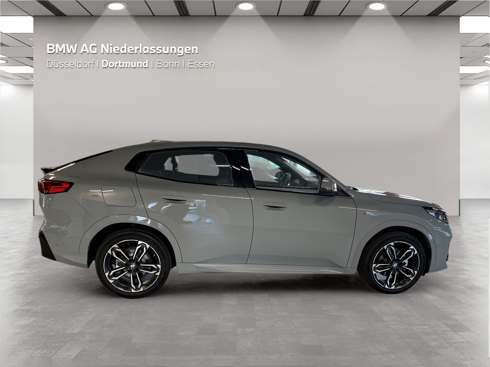 BMW X2 xDrive20d M Sport AHK Driv.Assist+ Head-Up