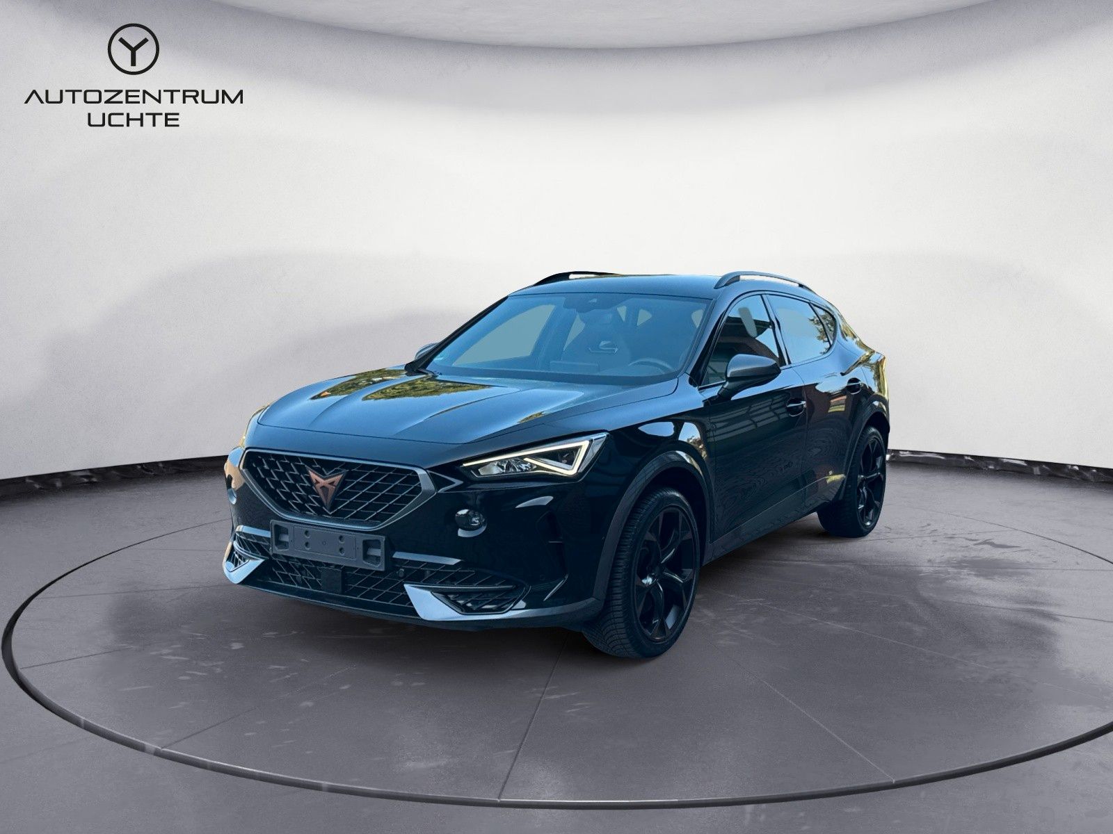 Cupra Formentor VZ 4Drive /BEATS/AHK/KAMERA/APP/19"/