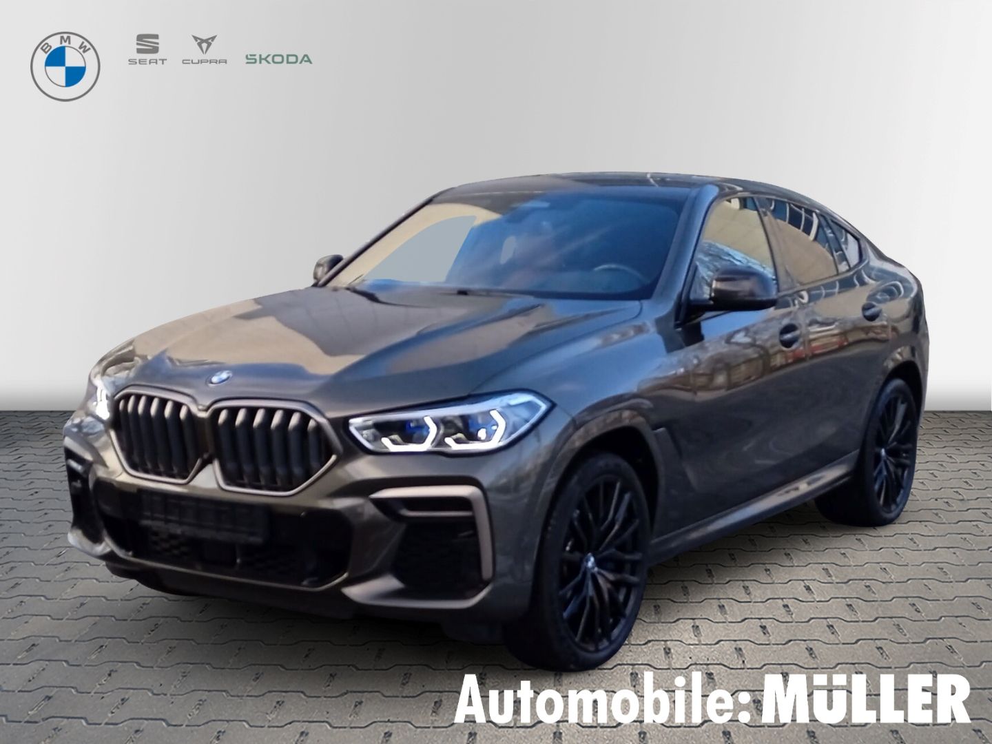 BMW X6 M50i Laserlicht HUD StandHZG AHK-klappbar TV 