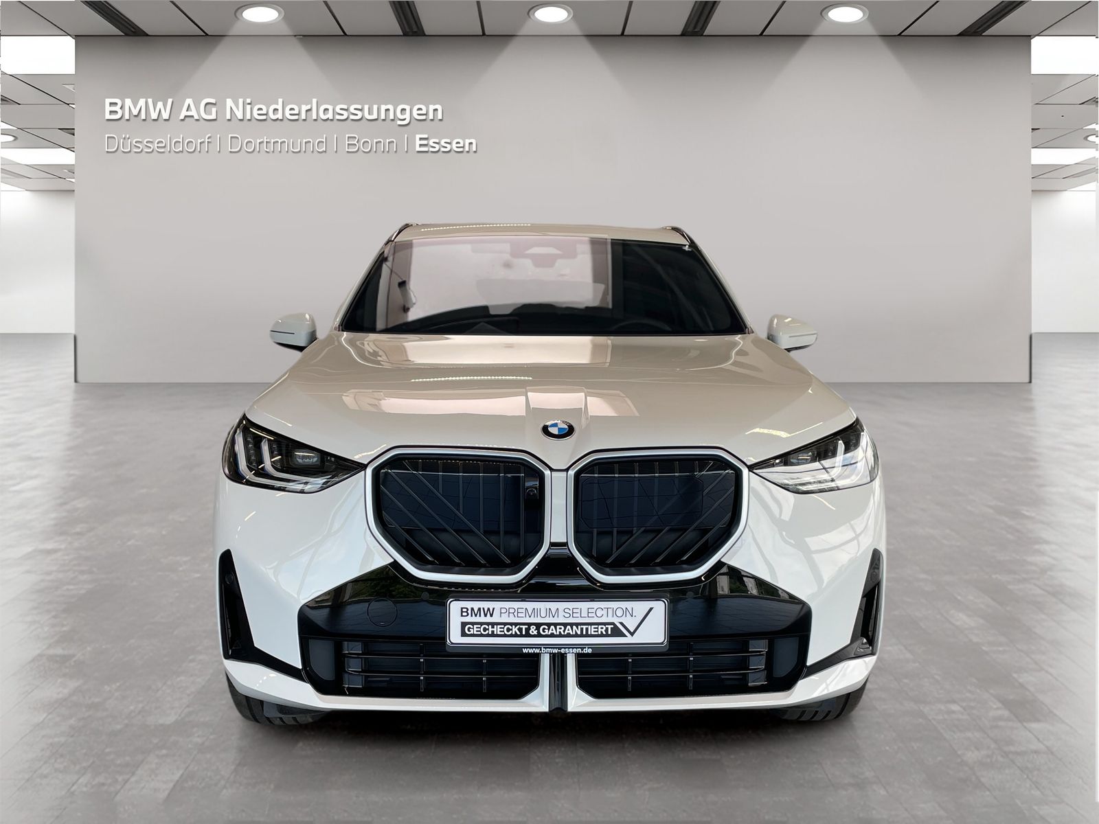 BMW X3 20 xDrive M Sport AHK Driv.Assist+ Harman/K