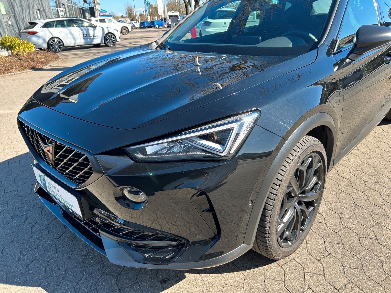 Cupra Formentor VZ Tribe Edition e-Hybrid AHK Memory