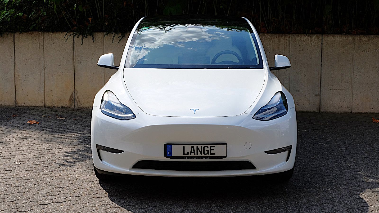 Tesla Model Y Performance Dual Motor AWD, LM 21"