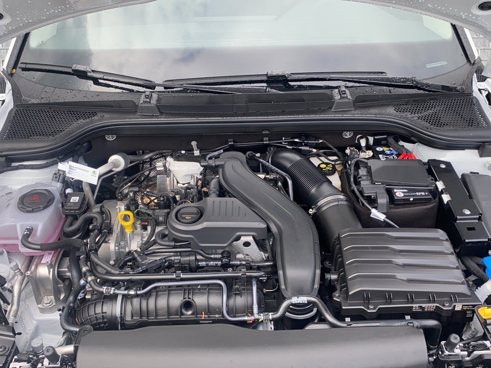 Skoda KAMIQ 1.5 TSI Business - Samsaru's Car Outlet