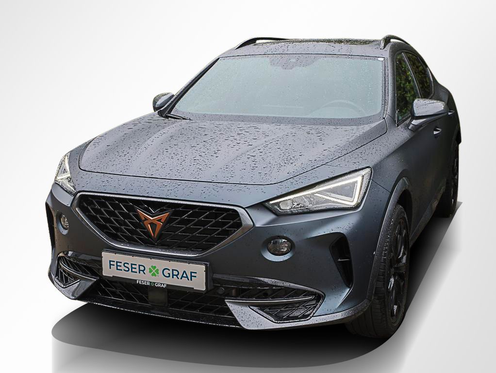Cupra Formentor VZ 2.0 TSI DSG AHK DCC Beats PANO Rüka