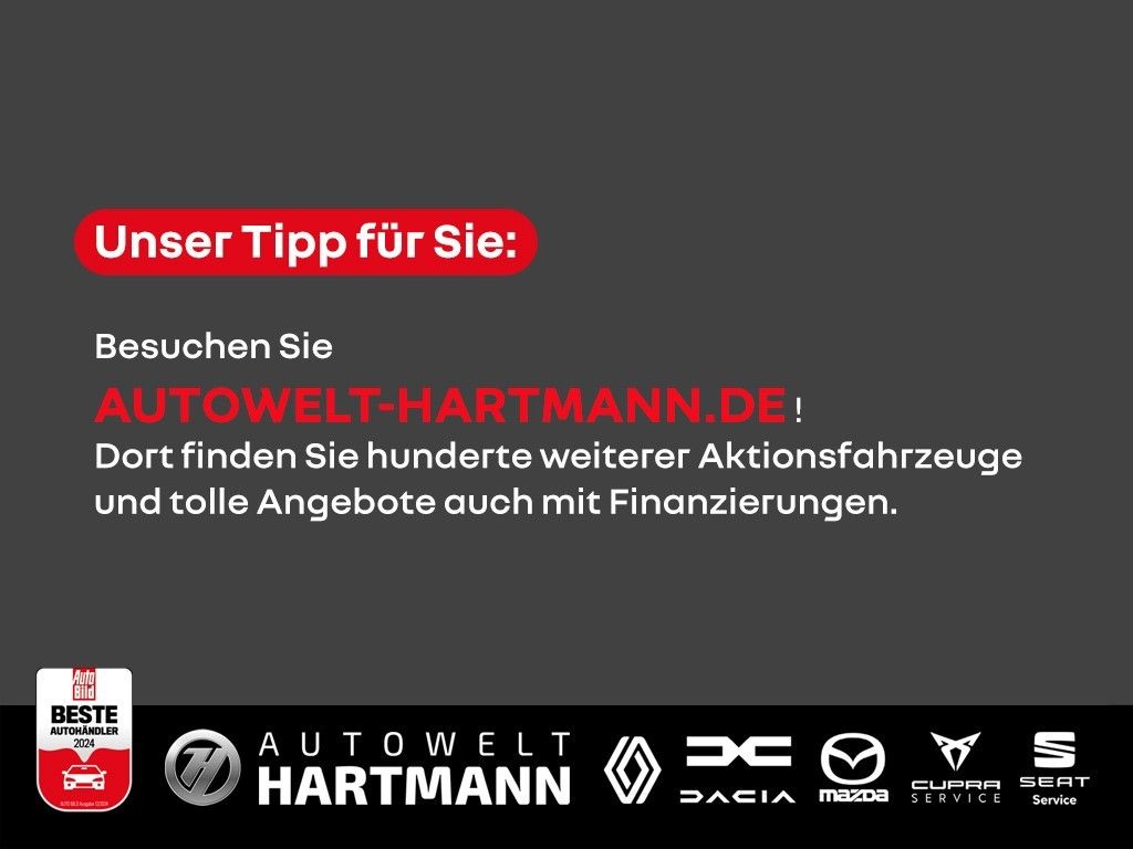 Cupra Formentor VZ 4-Drive-DSG Leder-Paket