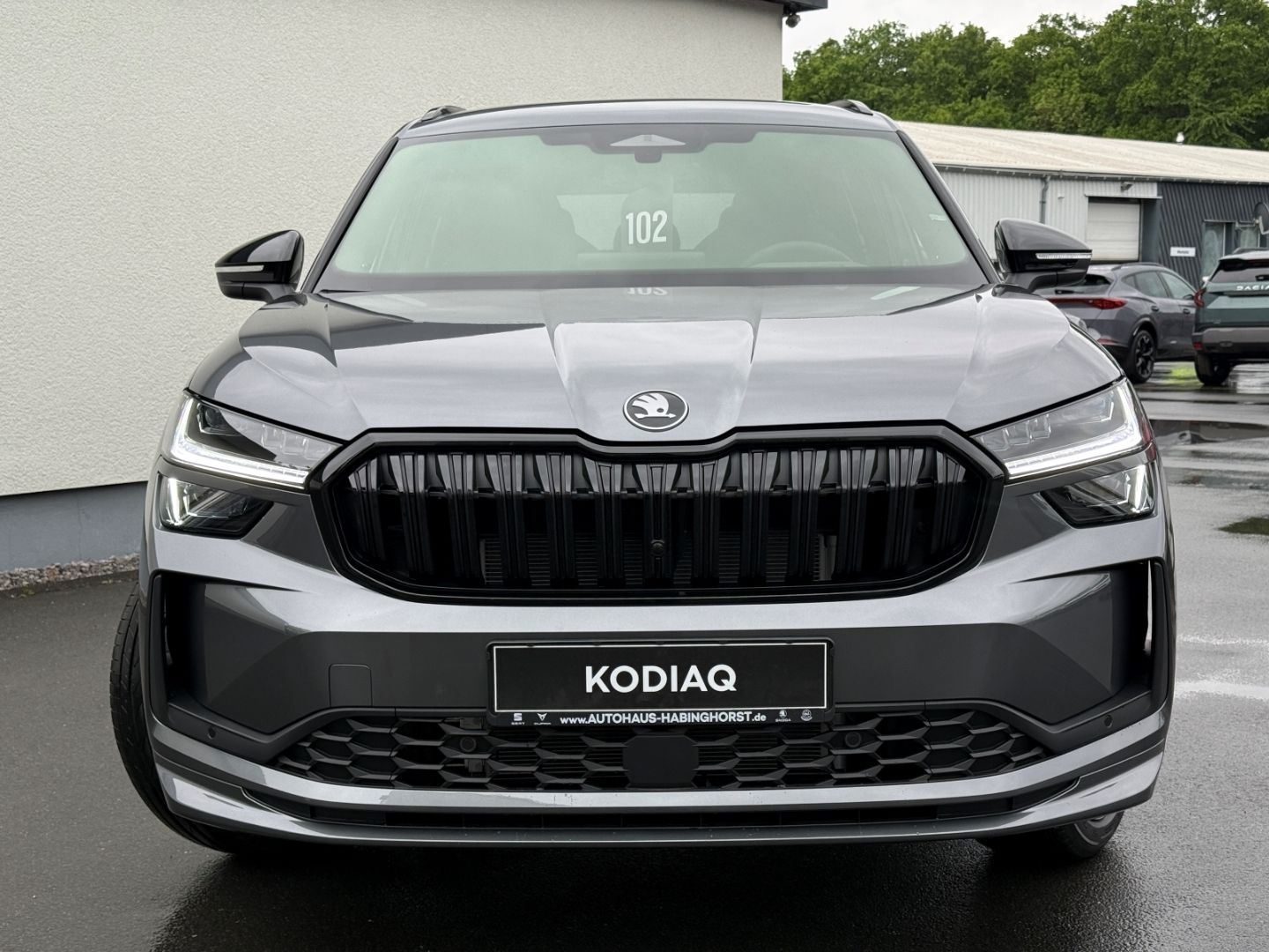 Skoda Kodiaq II 1.5 TSI iV DSG Sportline DCC AHK Matri