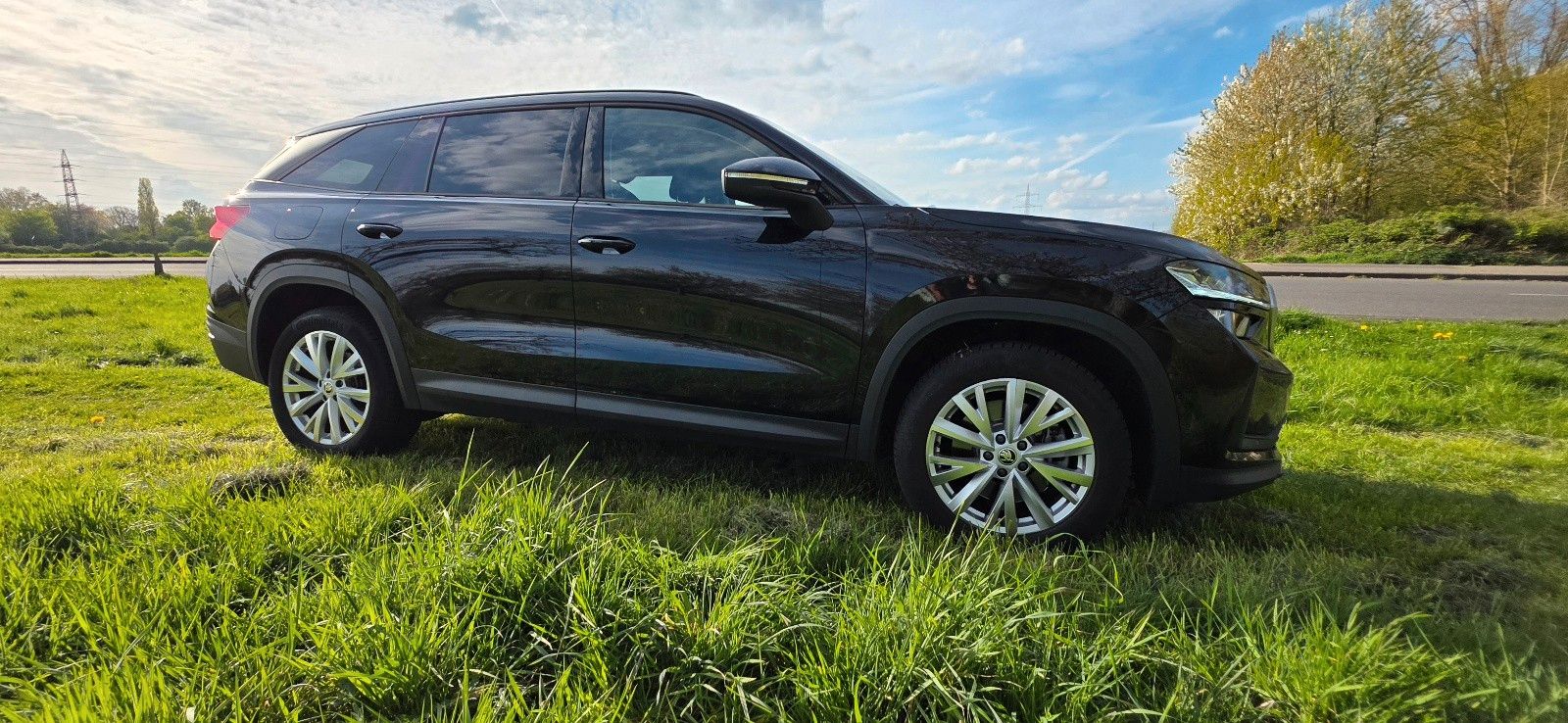 Skoda Kodiaq 2.0 TDI 142 kW 4x4 Selection *St-Hzg.*AHK