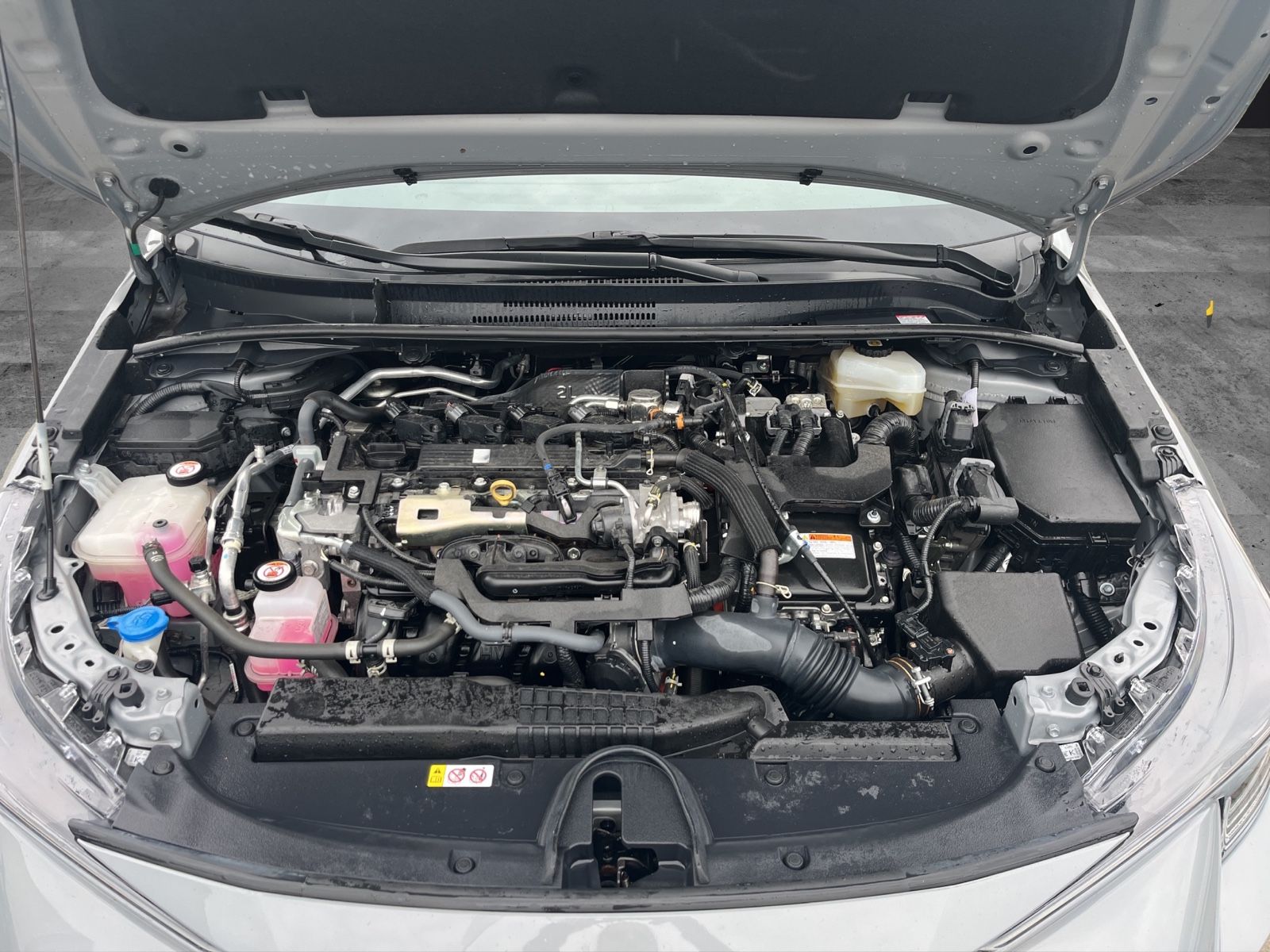 Toyota Corolla Touring / Sports Hybrid - Samsaru's Car Outlet