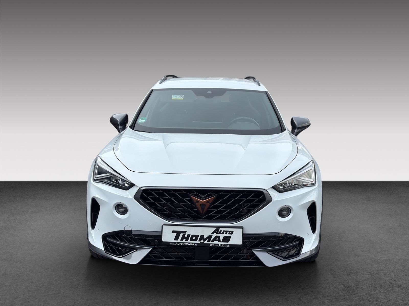 Cupra Formentor VZ 2.0 TSI DSG BEATS+AHK
