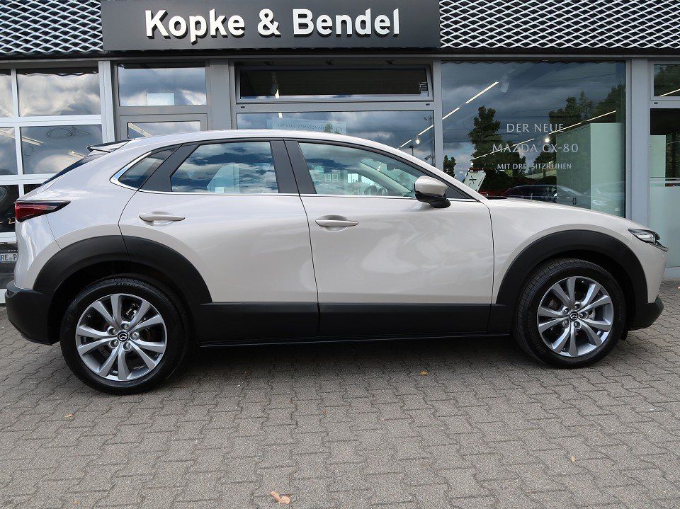 Mazda CX-30 Selection 186 PS *Automatik*AHK*LED* *Auto