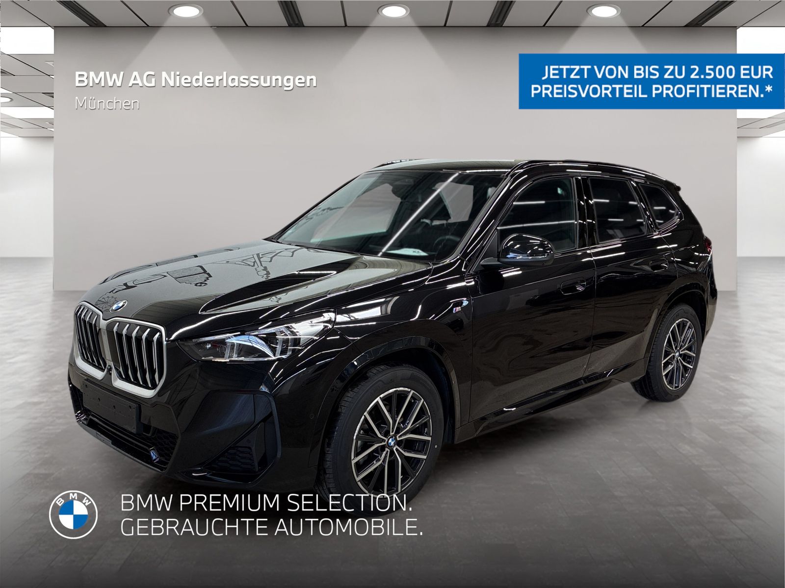 BMW X1 xDrive20d M Sport AHK Driv.Assist+ Head-Up