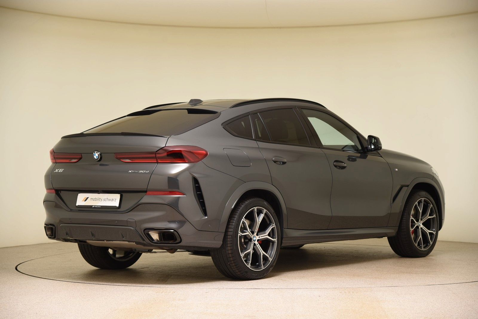 BMW X6 xDrive30d M Sport Pro DriveAssProf Pano 360°