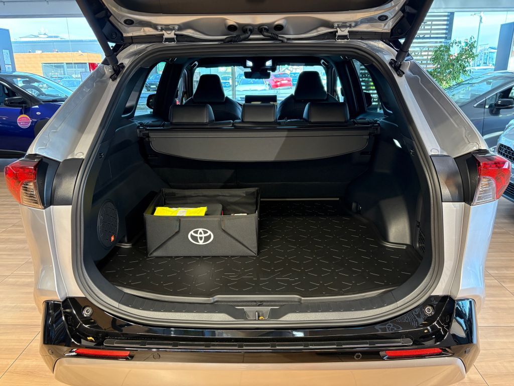 Toyota RAV 4 Hybrid Style Selection *AHK & JBL*