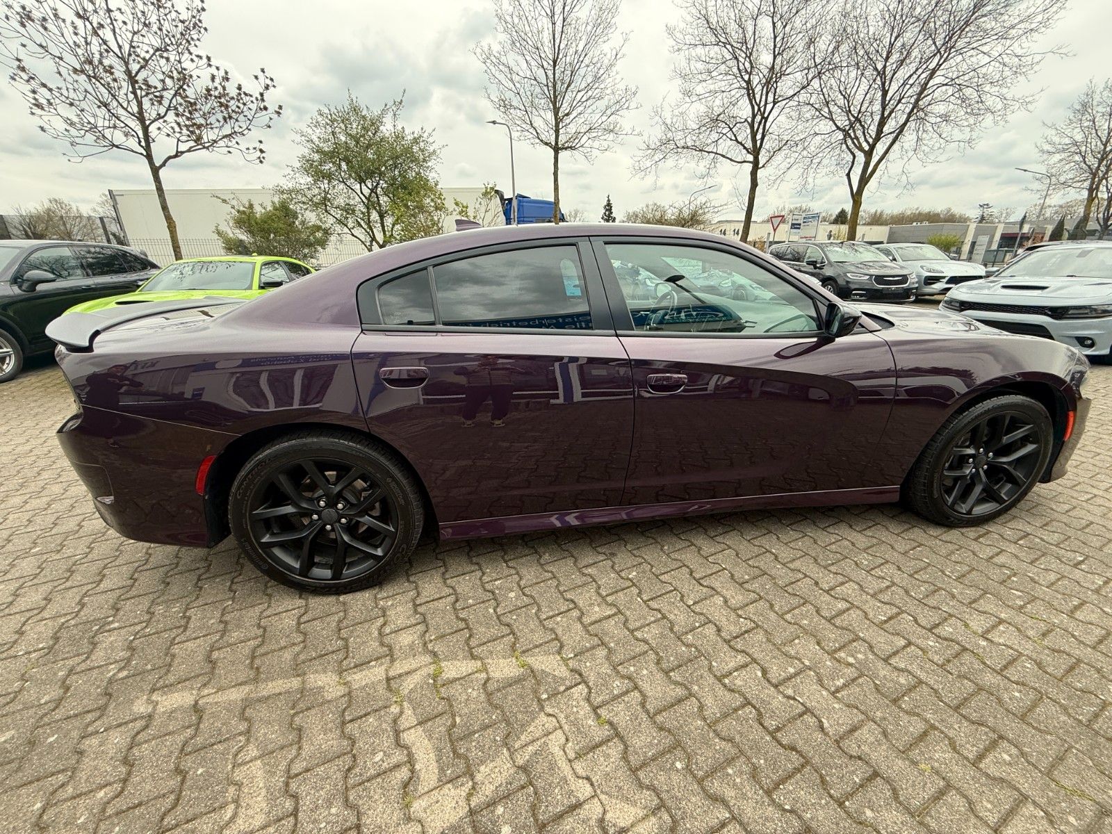 Dodge Lederausstattung,R20,ALPINE