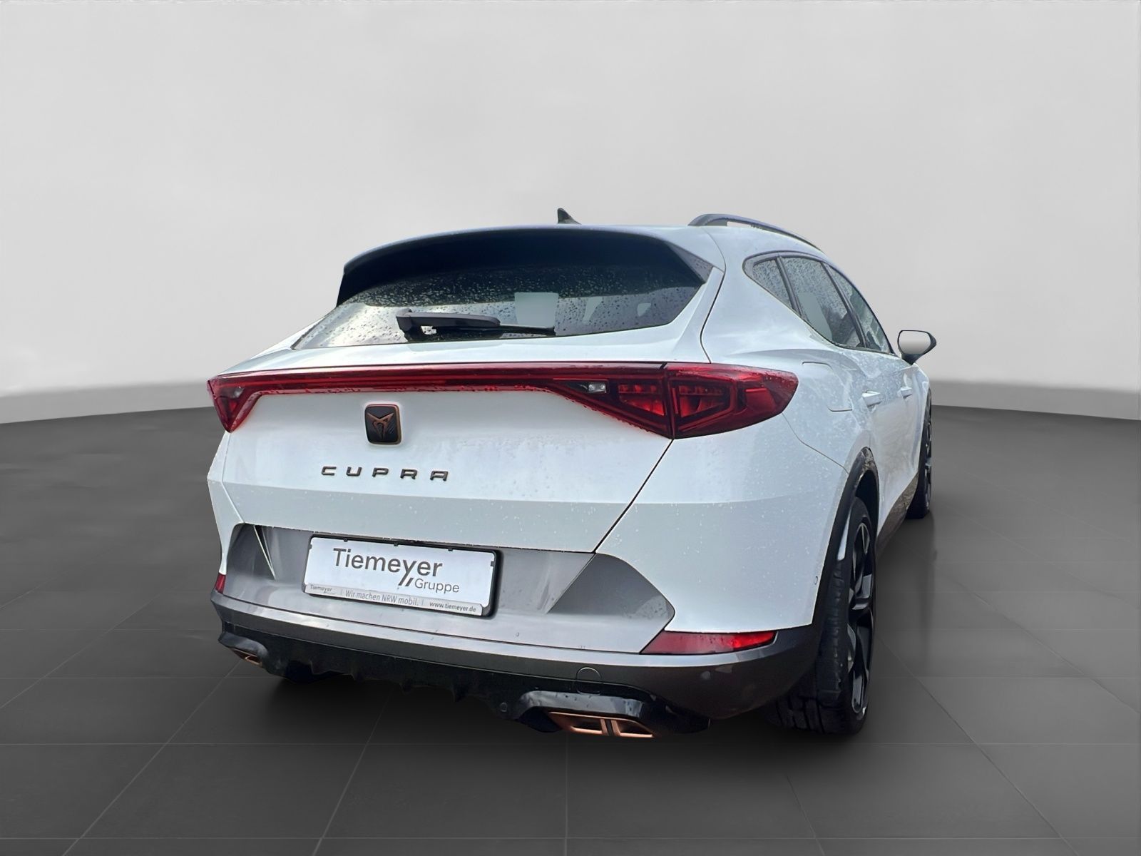 Cupra Formentor VZ eHybrid LM19 PANO AHK FULL-LINK CAM
