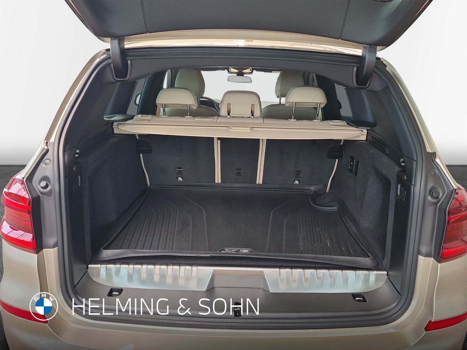 BMW X3 xDrive30e Luxury Line Head-Up HiFi ACC AHK uv